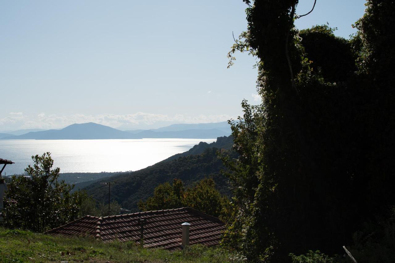 Efrosini *